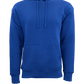 Threadfellows Curated Collection Sweatshirts S / Royal Ultra Soft Fleece Hoodie