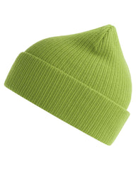Atlantis Headwear Headwear One Size / Leaf Green Atlantis Headwear - Sustainable Knit Beanie