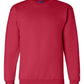 Champion Sweatshirts Champion - Double Dry Eco® Crewneck Sweatshirt