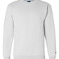 Champion Sweatshirts Champion - Double Dry Eco® Crewneck Sweatshirt