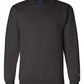 Champion Sweatshirts Champion - Double Dry Eco® Crewneck Sweatshirt