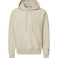Champion Sweatshirts Champion - Reverse Weave® Hooded Sweatshirt