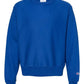 Champion Sweatshirts S / Athletic Royal Champion - Reverse Weave® Crewneck Sweatshirt