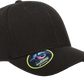 Flexfit Headwear Flexfit - 110® Cool & Dry Mini-Piqué Cap