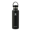 Hydro Flask Accessories 21oz / Black Hydro Flask - Standard Mouth w/ Flex Cap 21oz