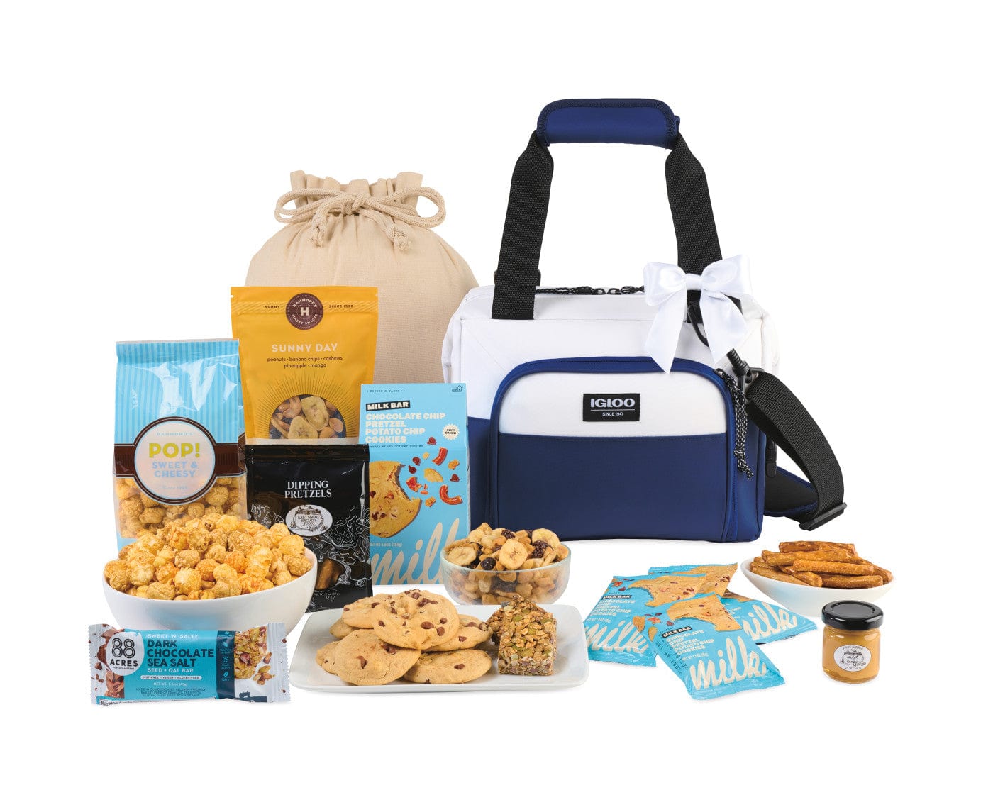 Igloo Accessories One Size / Navy-White Igloo - Celebrate Good Times Gourmet Cooler Gift Set