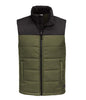 North Face Outerwear S / Burnt Olive Green The North Face - Men's Everyday Insulated Vest