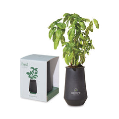 Threadfellows Accessories Black / Basil Modern Sprout® Tapered Tumbler Grow Kit