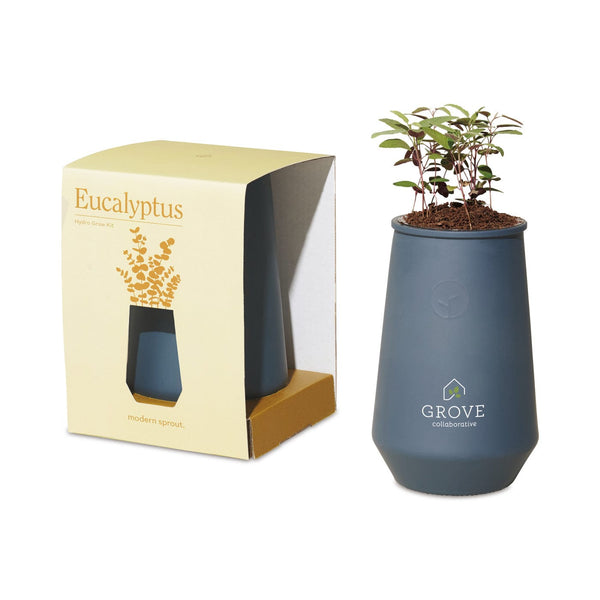 Threadfellows Accessories Blue Agave / Eucalyptus Modern Sprout® Tapered Tumbler Grow Kit