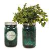 Threadfellows Accessories Cilantro / Emerald Modern Sprout® Indoor Herb Garden Kit