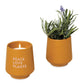 Threadfellows Accessories Lavender / Mustard Modern Sprout® Rooted Candle