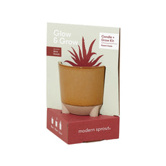 Threadfellows Accessories Modern Sprout Glow & Grow Live Well Gift Set