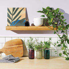 Threadfellows Accessories Modern Sprout® Indoor Herb Garden Kit