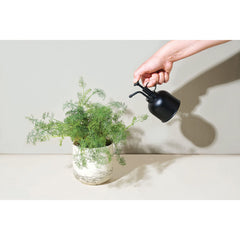 Threadfellows Accessories One Size / Matte Black Modern Sprout - Plant Parent Mister