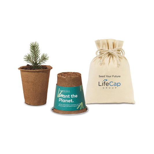 Threadfellows Accessories One Size / Spruce Modern Sprout® One For One Tree Kit