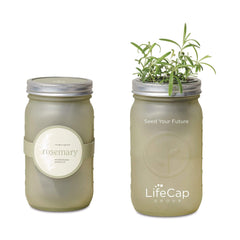 Threadfellows Accessories Rosemary / Ice Green Modern Sprout® Indoor Herb Garden Kit