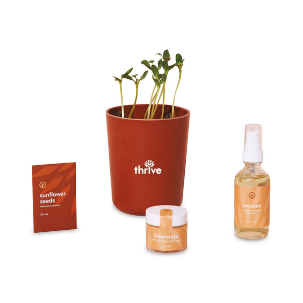 Threadfellows Accessories Shine Bright / Sunflower Modern Sprout® Take Care Kit - Shine Bright