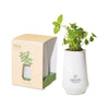 Threadfellows Accessories White / Mint Modern Sprout® Tapered Tumbler Grow Kit