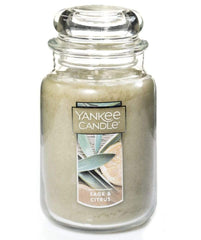 Yankee Candle Accessories One Size / Sage & Citrus Yankee Candle - 22oz Candle